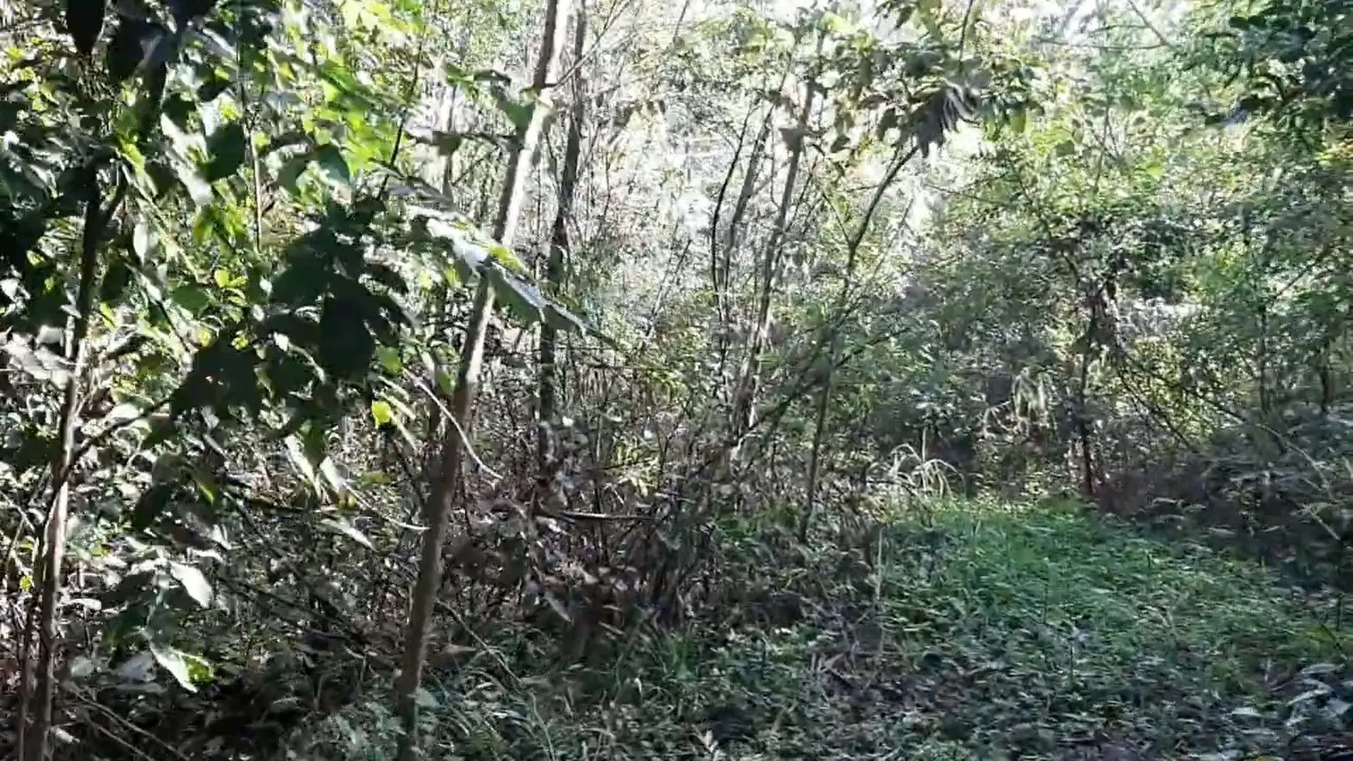 Country home for sale of 7 acres in Taquara, RS, Brazil