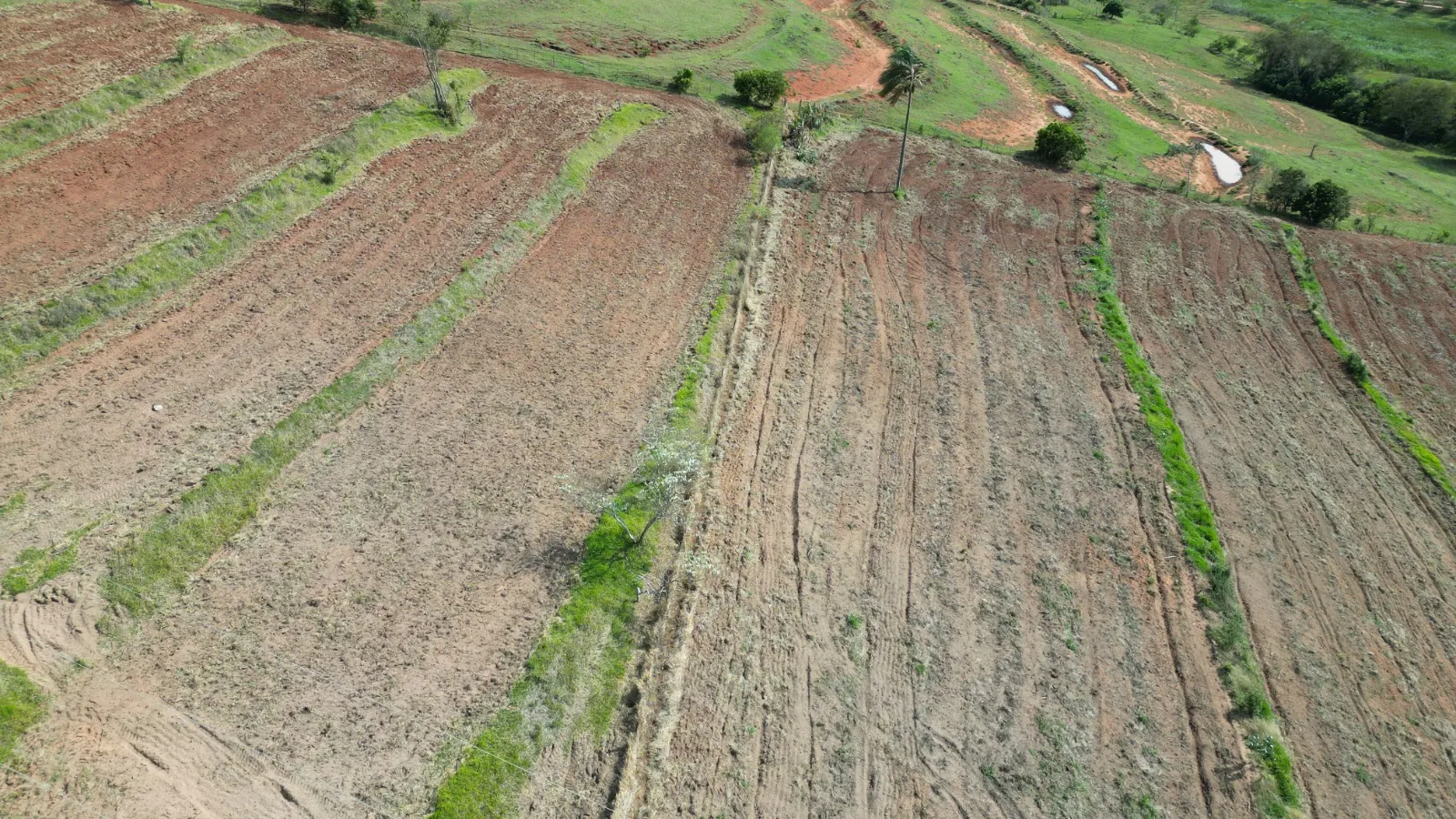 Sítio à venda de 3 ha em Timburi, SP, Brasil