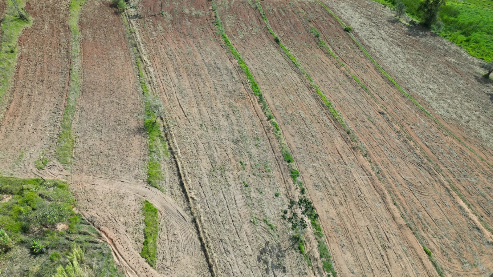 Sítio à venda de 3 ha em Timburi, SP, Brasil