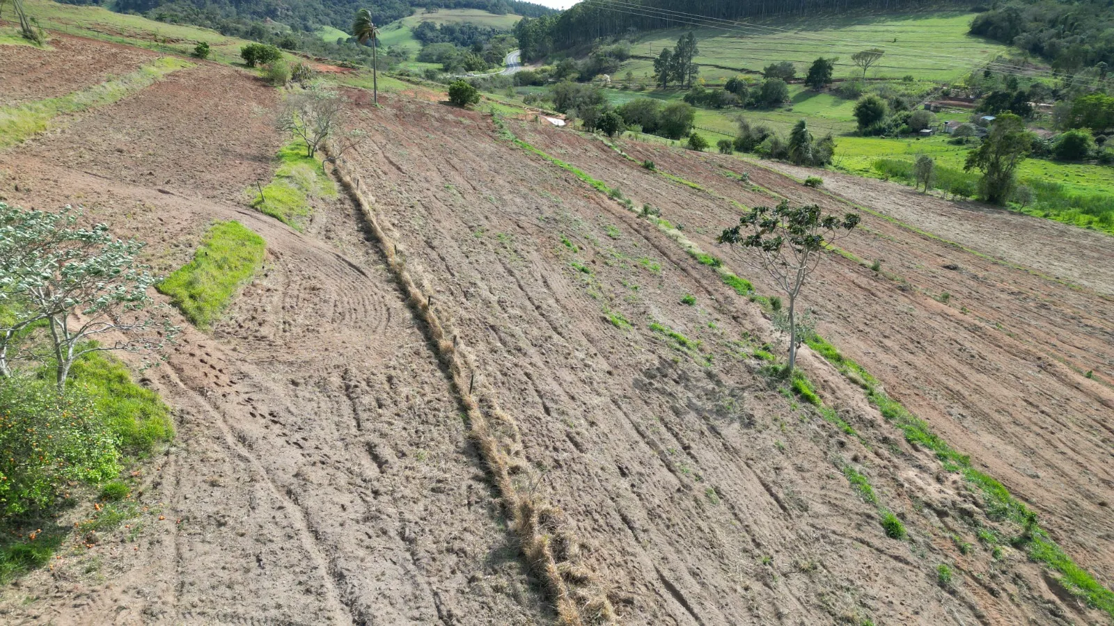 Sítio à venda de 3 ha em Timburi, SP, Brasil