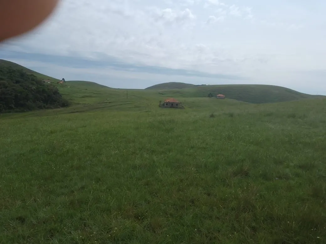 Fazenda à venda de 179 ha em Areias, SP, Brasil