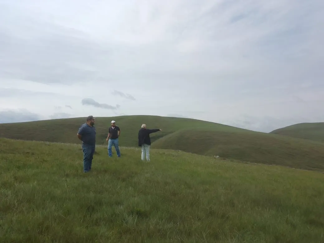 Fazenda à venda de 179 ha em Areias, SP, Brasil
