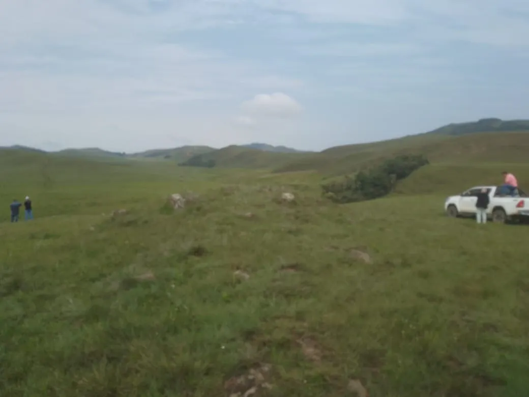 Fazenda à venda de 179 ha em Areias, SP, Brasil
