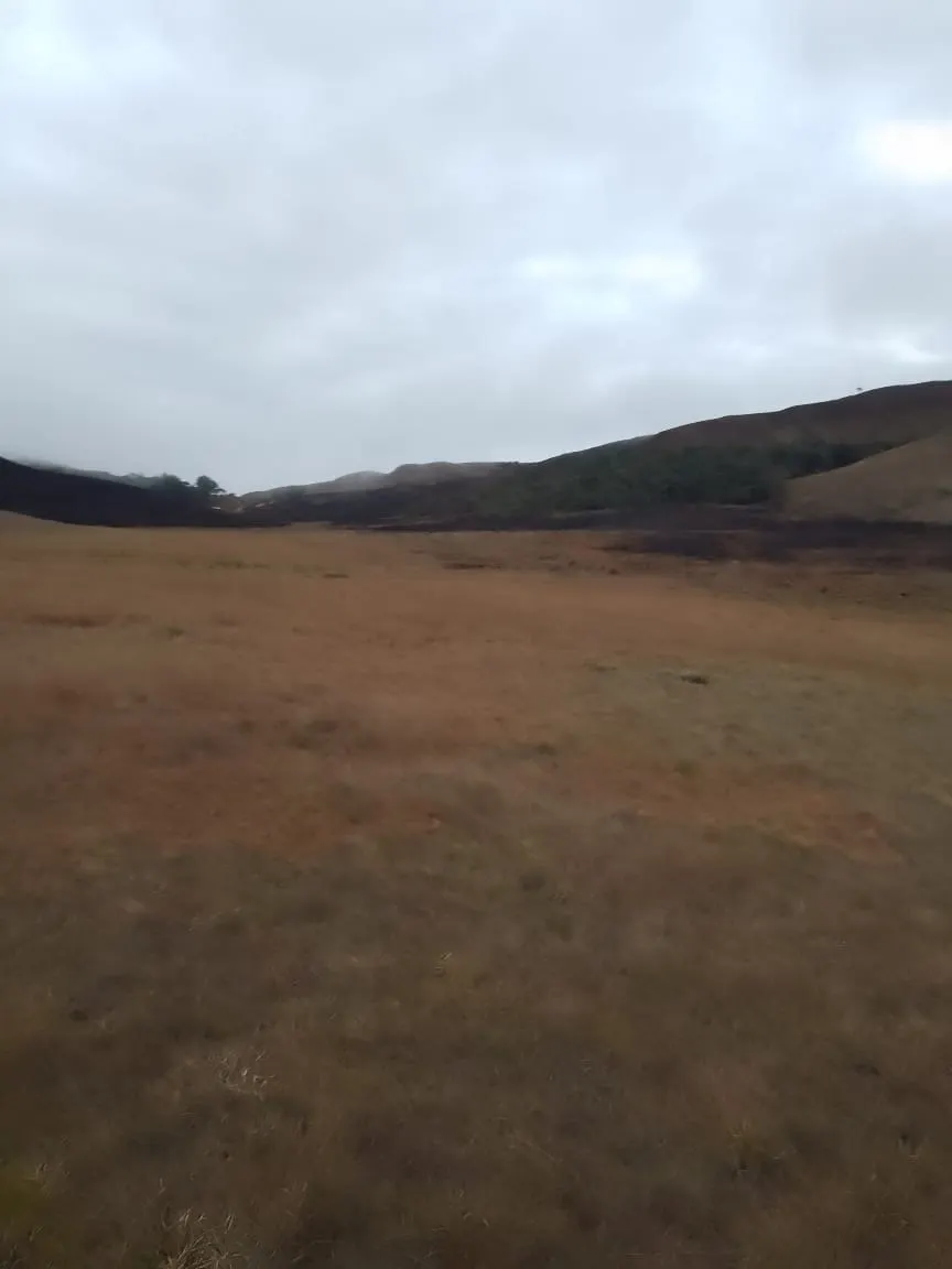 Fazenda à venda de 179 ha em Areias, SP, Brasil