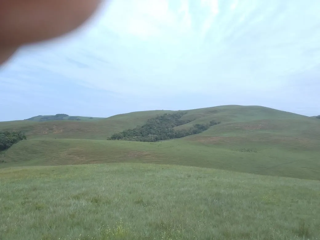 Fazenda à venda de 179 ha em Areias, SP, Brasil
