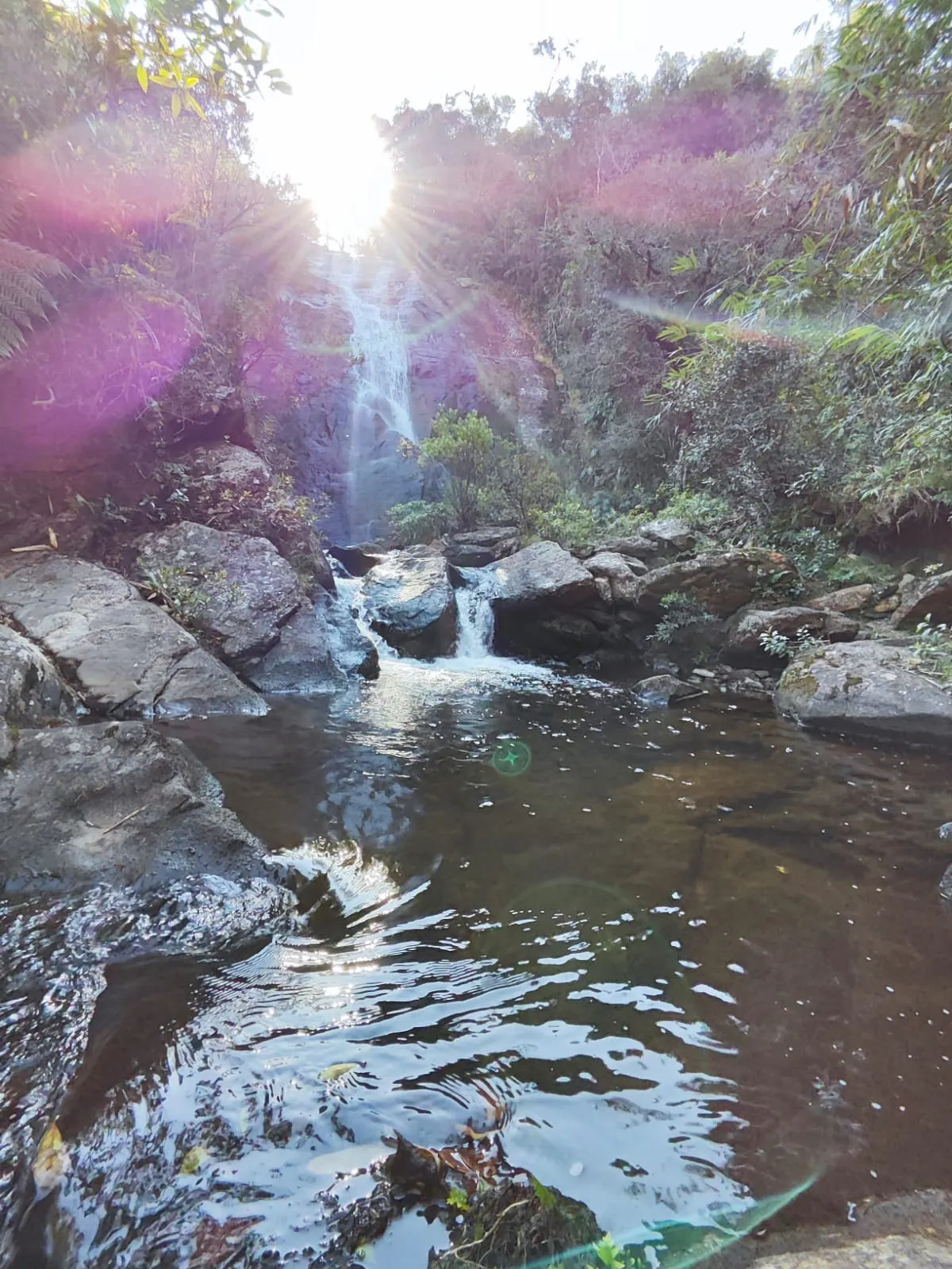 Fazenda à venda de 179 ha em Areias, SP, Brasil