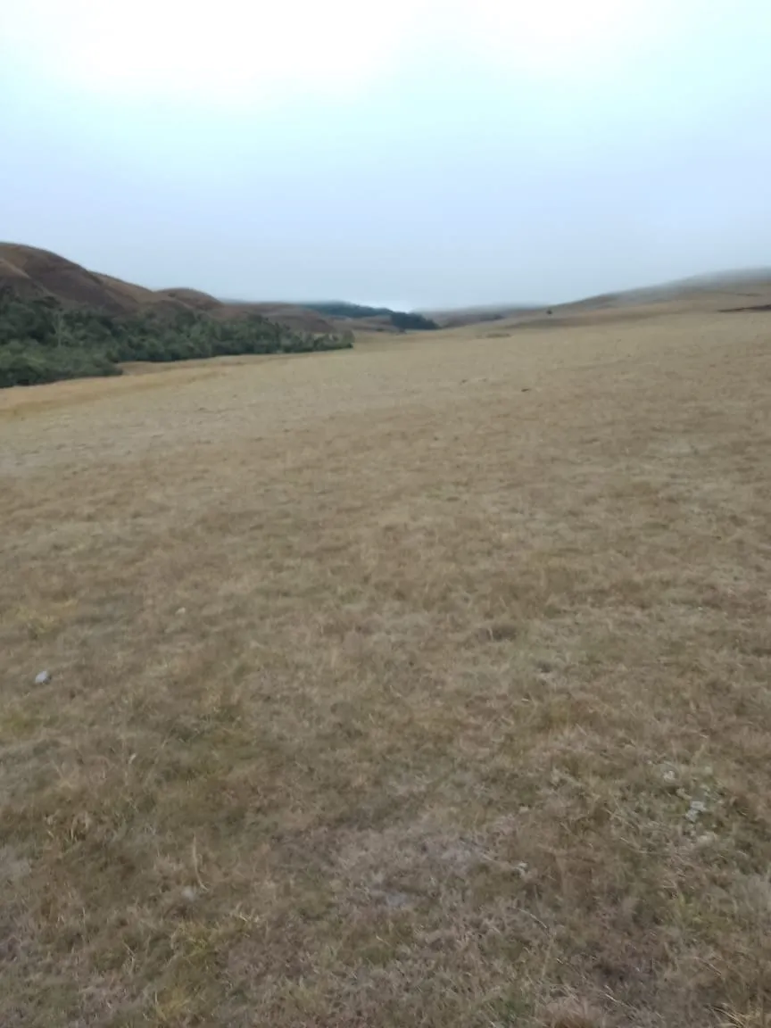 Fazenda à venda de 179 ha em Areias, SP, Brasil