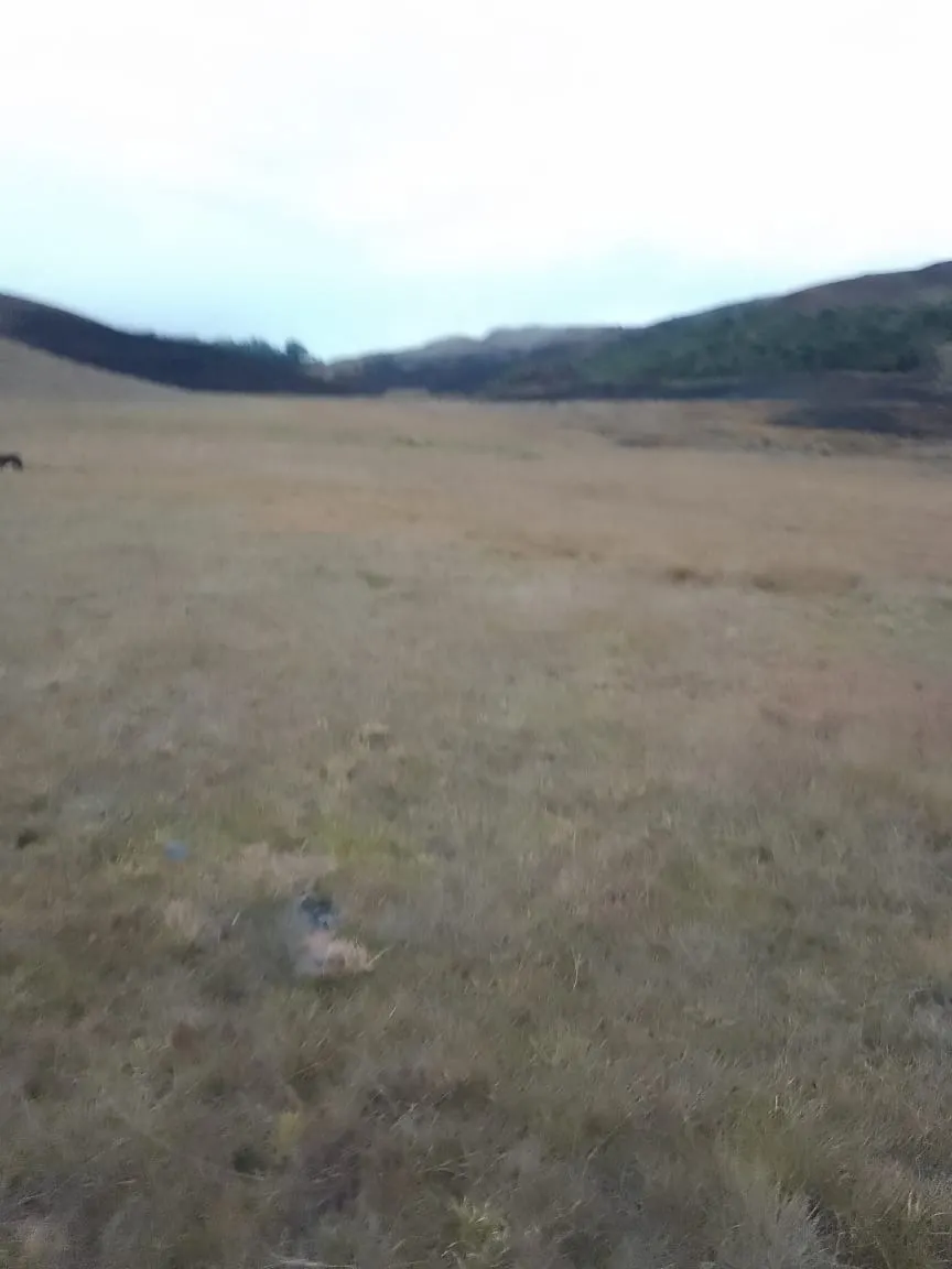 Fazenda à venda de 179 ha em Areias, SP, Brasil