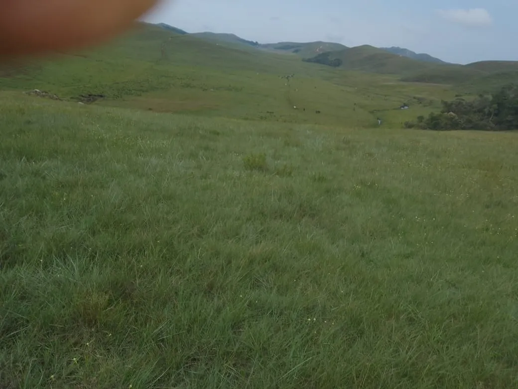 Fazenda à venda de 179 ha em Areias, SP, Brasil