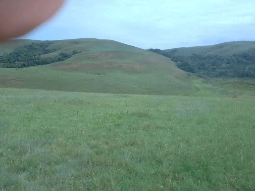 Fazenda à venda de 179 ha em Areias, SP, Brasil