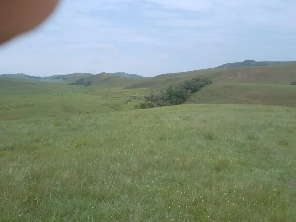 Fazenda à venda de 179 ha em Areias, SP, Brasil