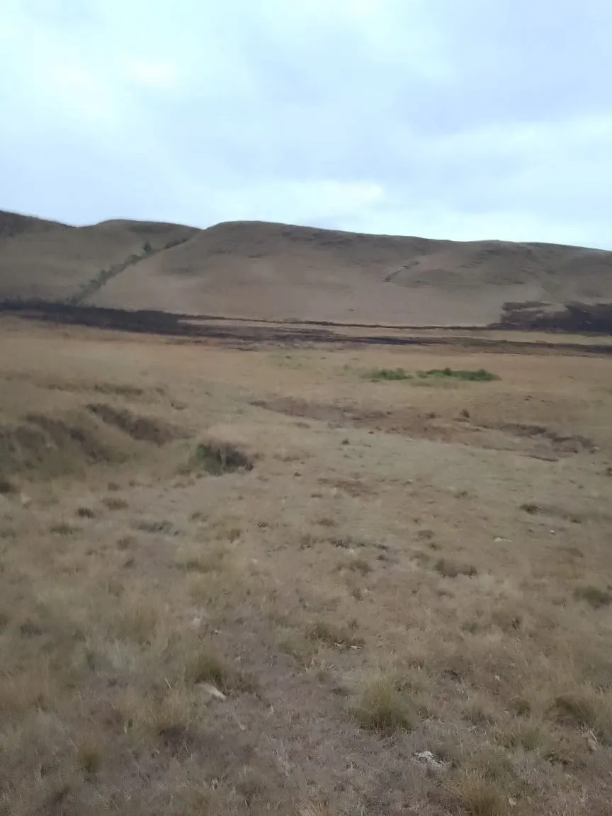 Fazenda à venda de 179 ha em Areias, SP, Brasil