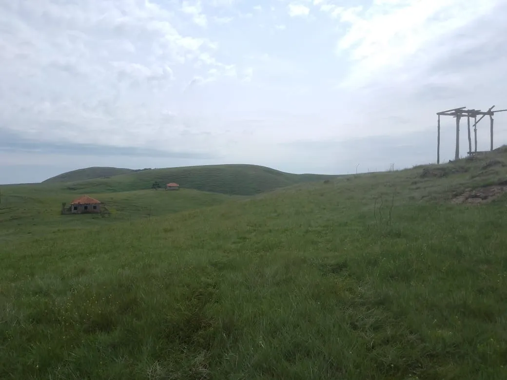 Fazenda à venda de 179 ha em Areias, SP, Brasil
