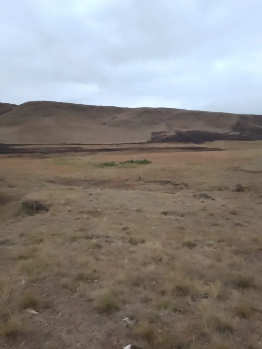 Fazenda à venda de 179 ha em Areias, SP, Brasil