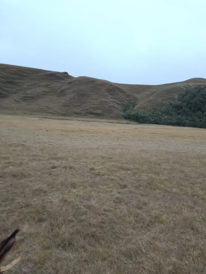 Fazenda à venda de 179 ha em Areias, SP, Brasil