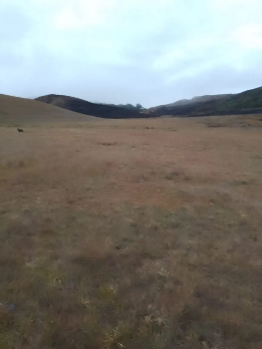 Fazenda à venda de 179 ha em Areias, SP, Brasil