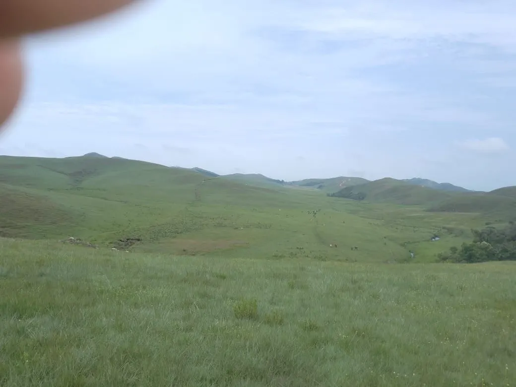 Fazenda à venda de 179 ha em Areias, SP, Brasil
