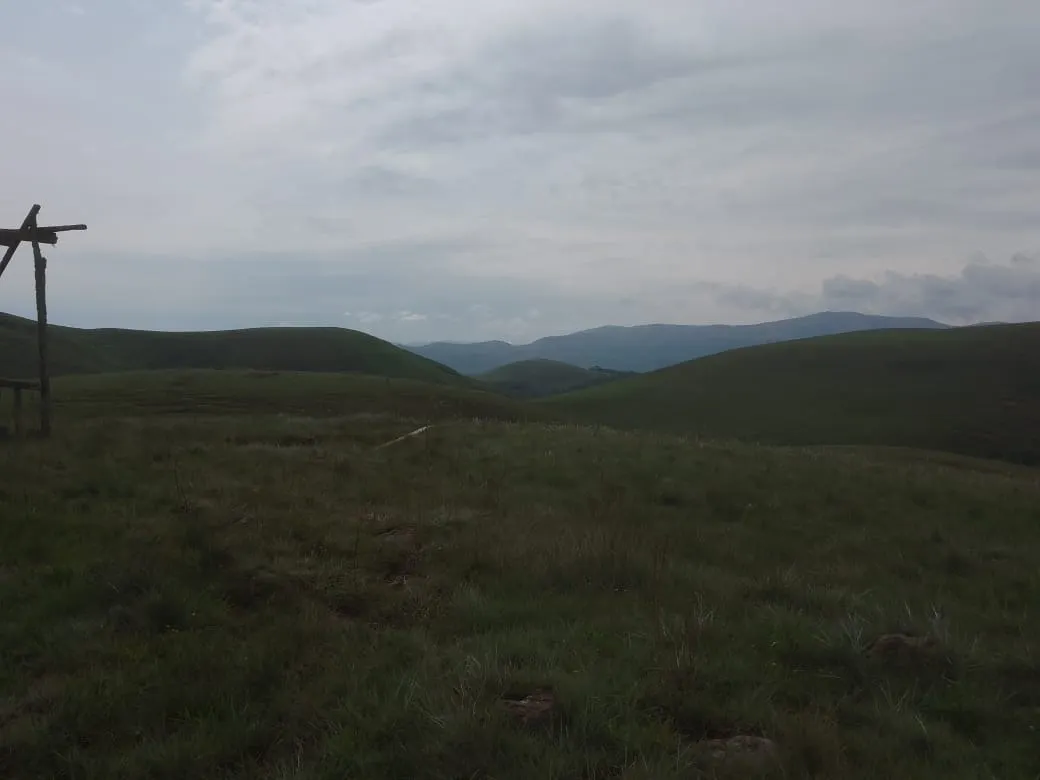 Fazenda à venda de 179 ha em Areias, SP, Brasil