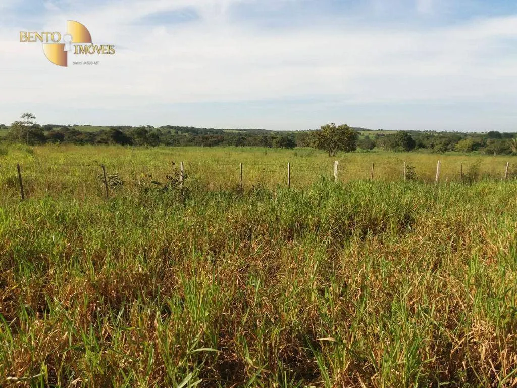 Fazenda à venda de 1.570 ha em Acorizal, MT, Brasil