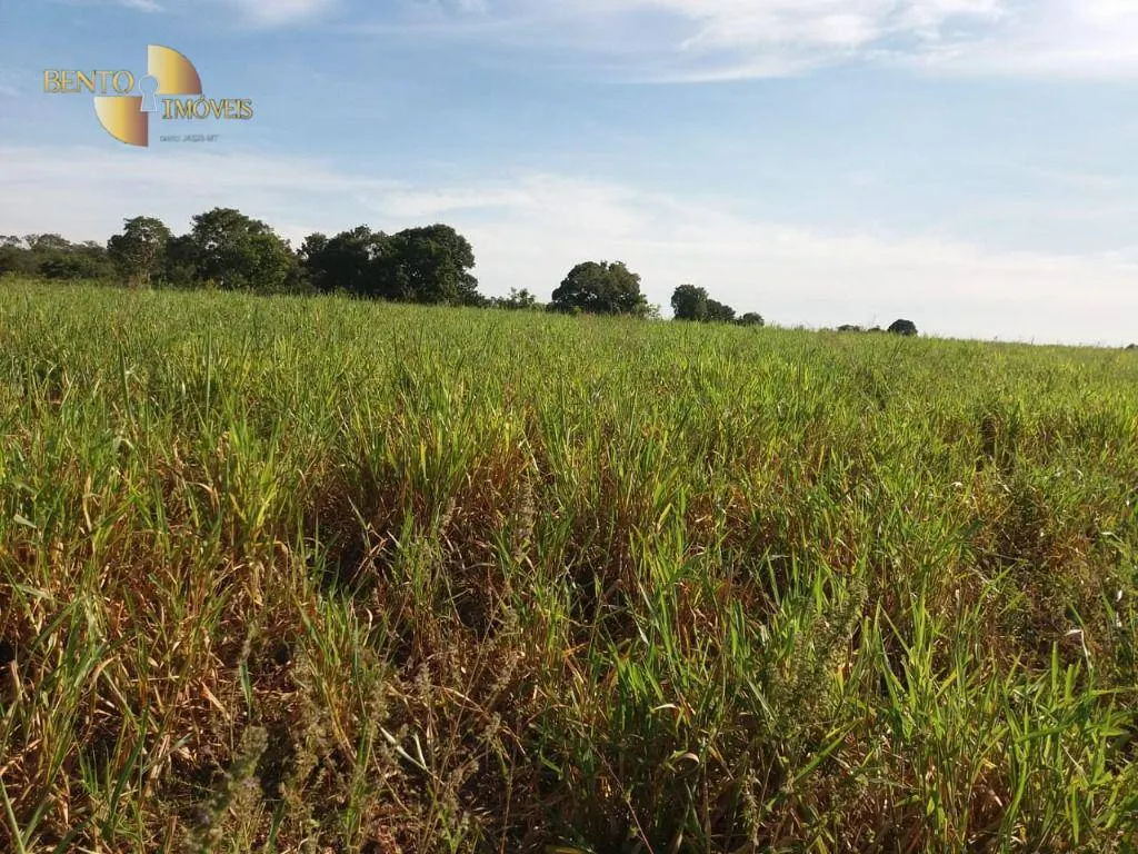 Fazenda à venda de 1.570 ha em Acorizal, MT, Brasil