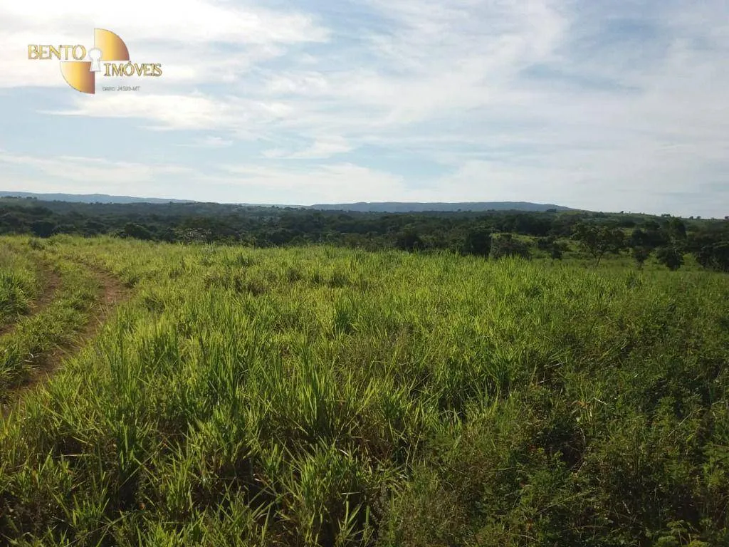 Fazenda à venda de 1.570 ha em Acorizal, MT, Brasil