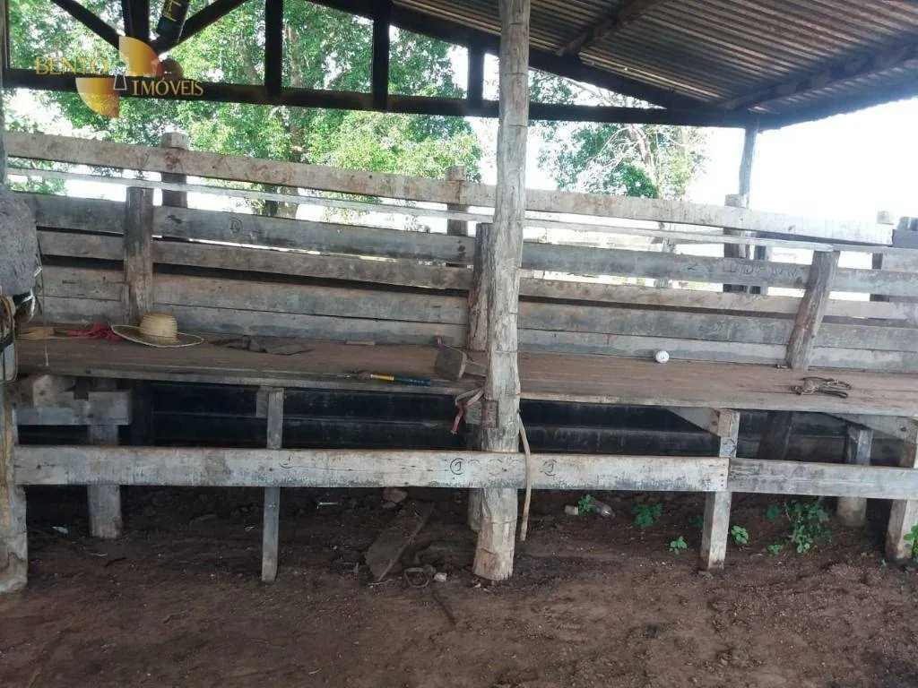 Fazenda à venda de 1.570 ha em Acorizal, MT, Brasil