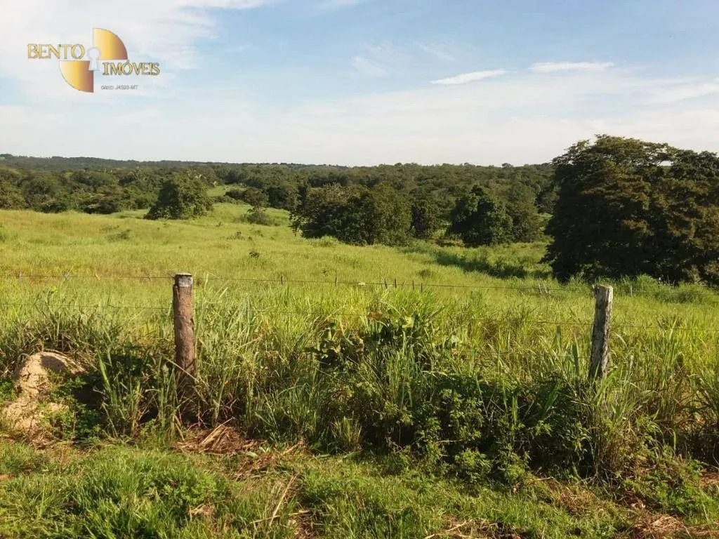 Fazenda à venda de 1.570 ha em Acorizal, MT, Brasil