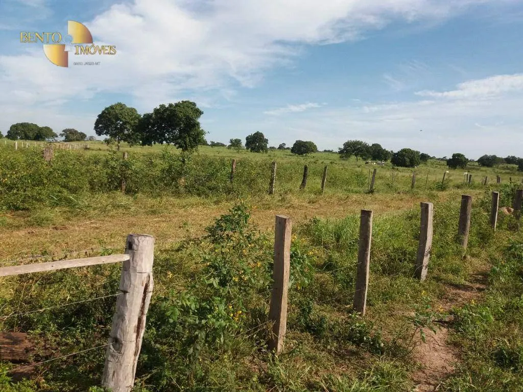 Fazenda à venda de 1.570 ha em Acorizal, MT, Brasil