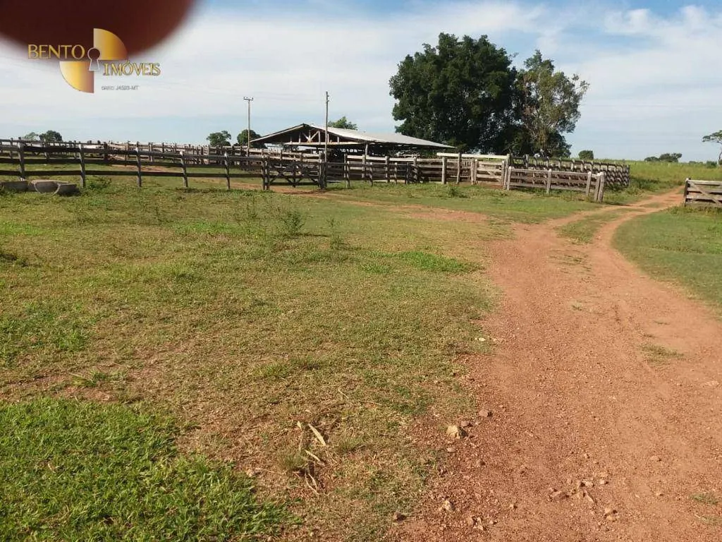 Fazenda à venda de 1.570 ha em Acorizal, MT, Brasil