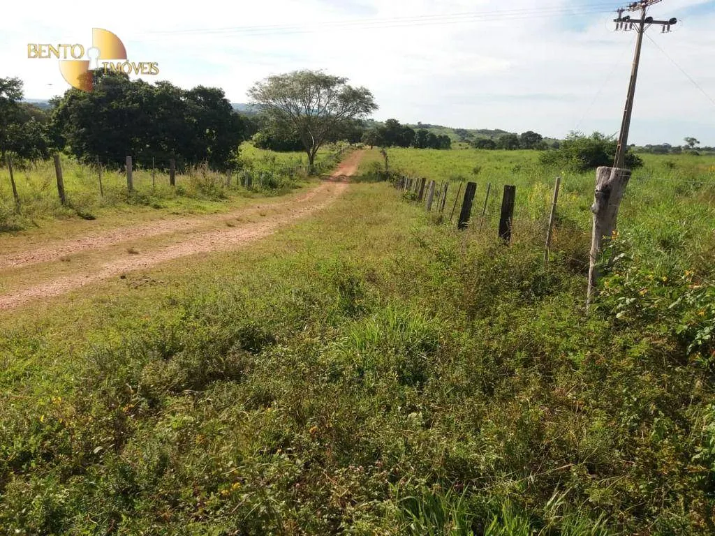 Fazenda à venda de 1.570 ha em Acorizal, MT, Brasil