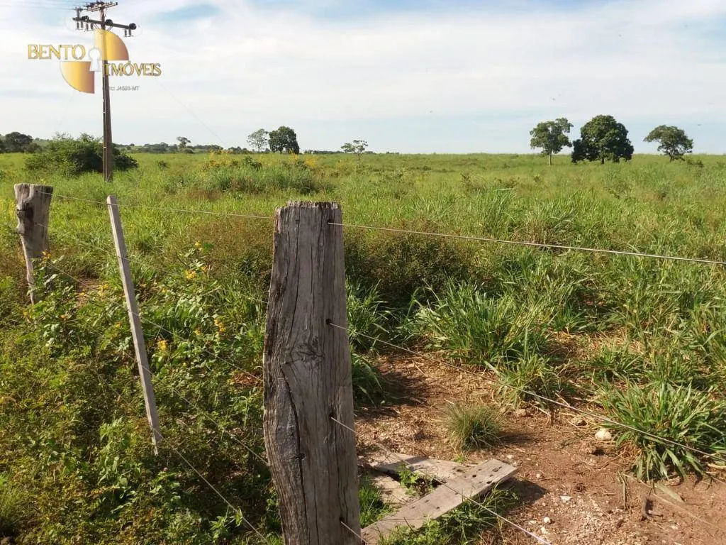 Fazenda à venda de 1.570 ha em Acorizal, MT, Brasil