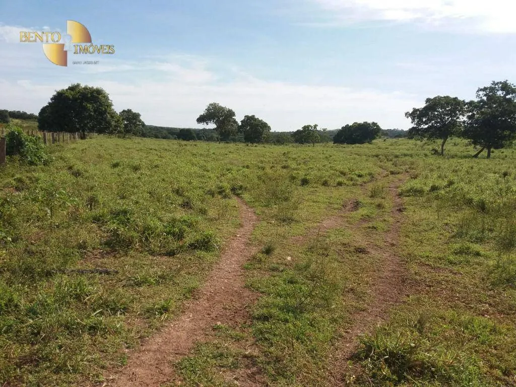 Fazenda à venda de 1.570 ha em Acorizal, MT, Brasil