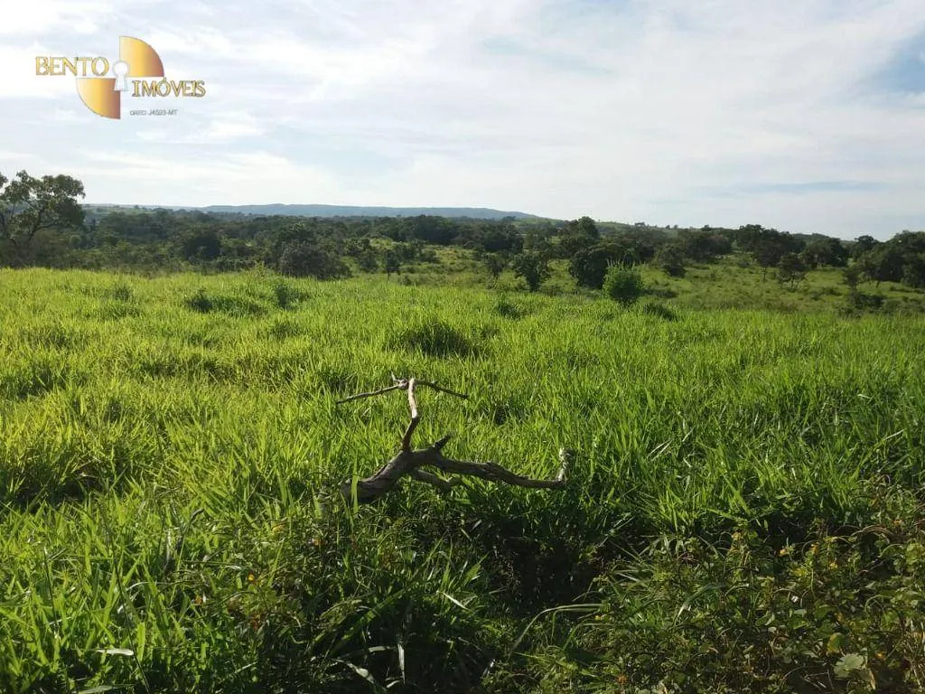Fazenda à venda de 1.570 ha em Acorizal, MT, Brasil