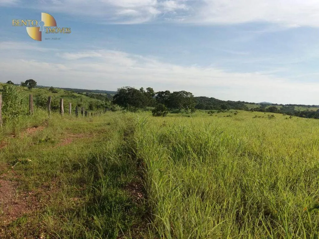 Fazenda à venda de 1.570 ha em Acorizal, MT, Brasil