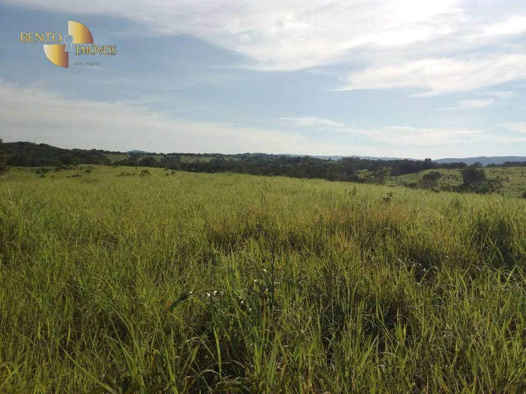 Fazenda à venda de 1.570 ha em Acorizal, MT, Brasil