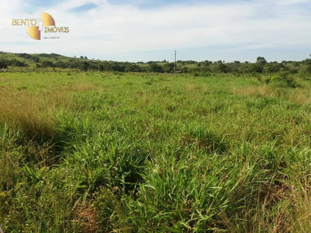 Fazenda à venda de 1.570 ha em Acorizal, MT, Brasil