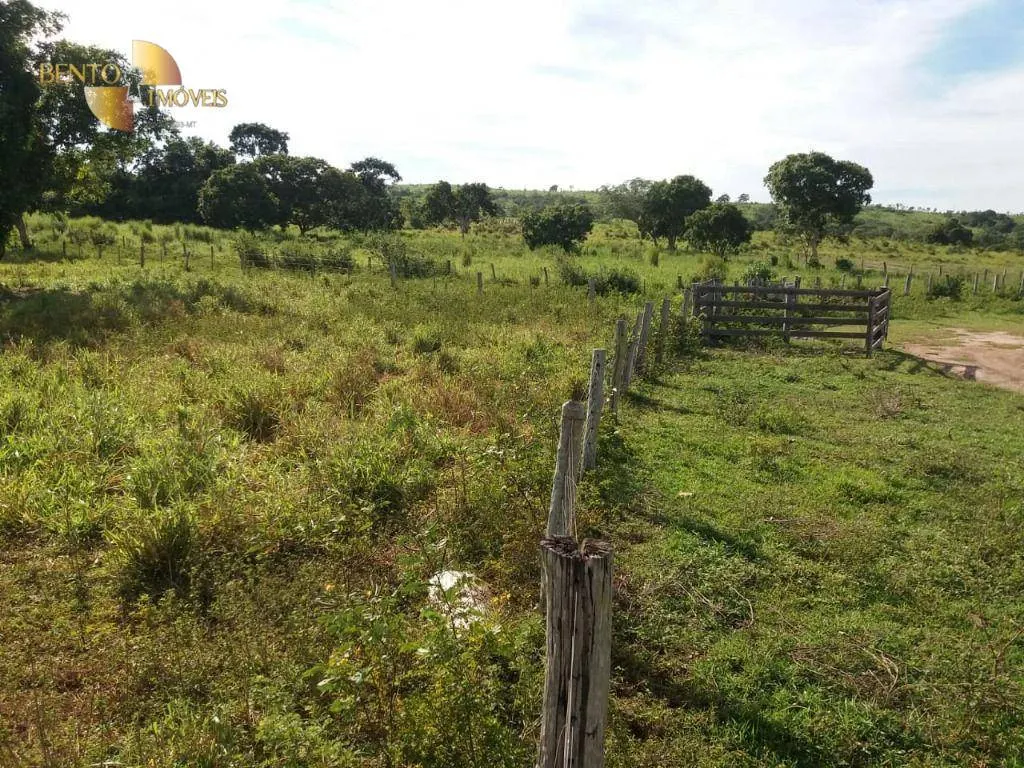 Fazenda à venda de 1.570 ha em Acorizal, MT, Brasil