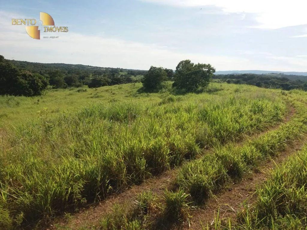 Fazenda à venda de 1.570 ha em Acorizal, MT, Brasil