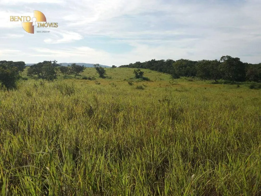 Fazenda à venda de 1.570 ha em Acorizal, MT, Brasil