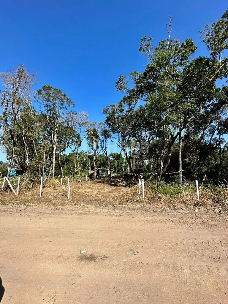 Terreno à venda de 325 m² em Bombinhas, SC, Brasil