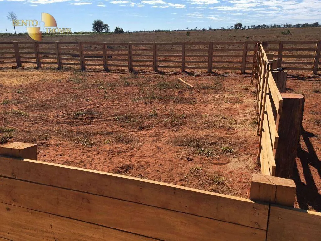 Fazenda à venda de 1.200 ha em Paranatinga, MT, Brasil