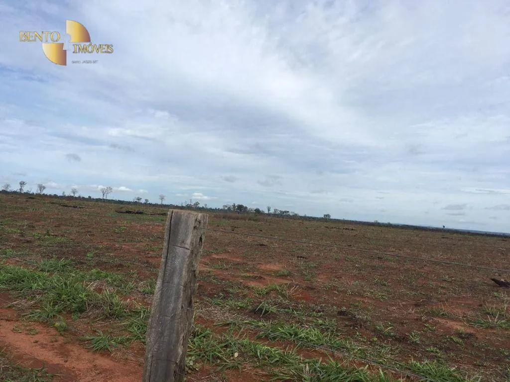 Fazenda à venda de 1.200 ha em Paranatinga, MT, Brasil