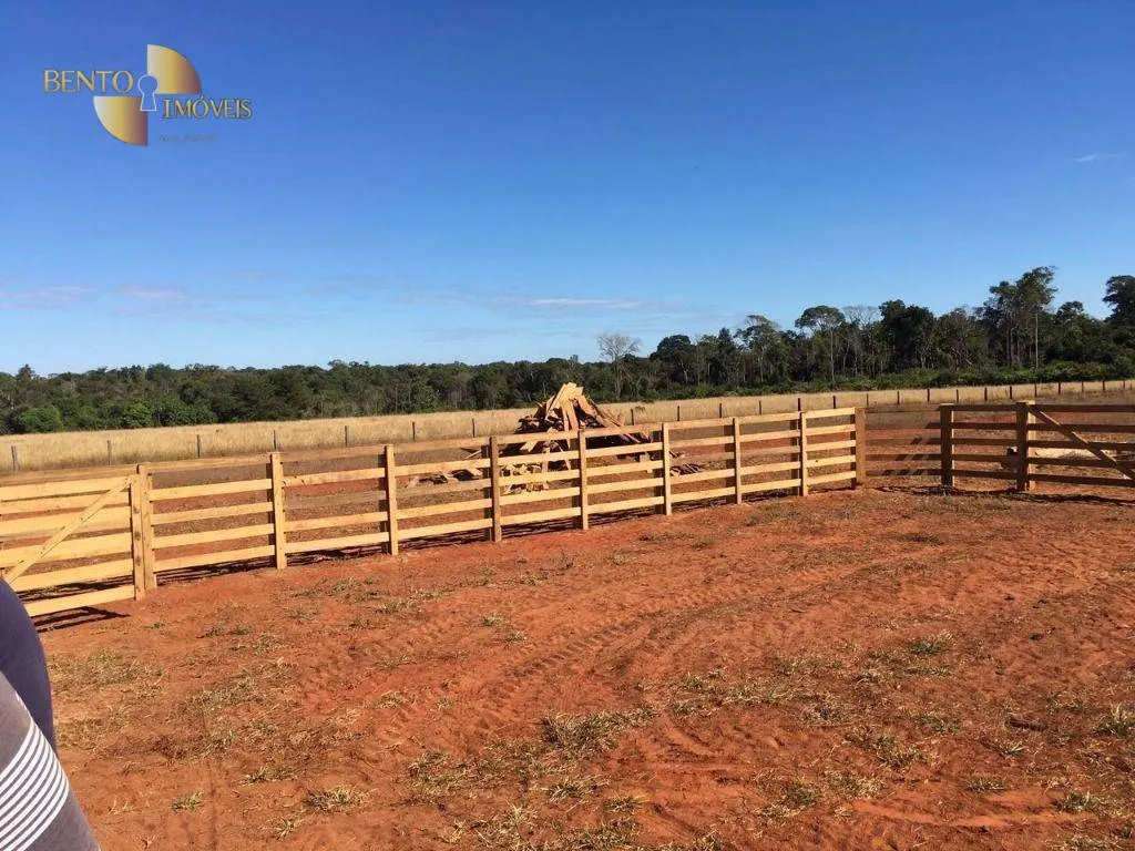 Fazenda à venda de 1.200 ha em Paranatinga, MT, Brasil