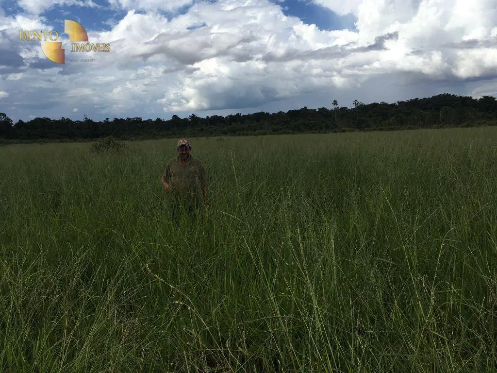 Fazenda à venda de 1.200 ha em Paranatinga, MT, Brasil