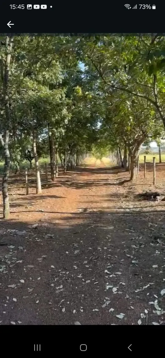 Fazenda à venda de 145 ha em Luziânia, GO, Brasil