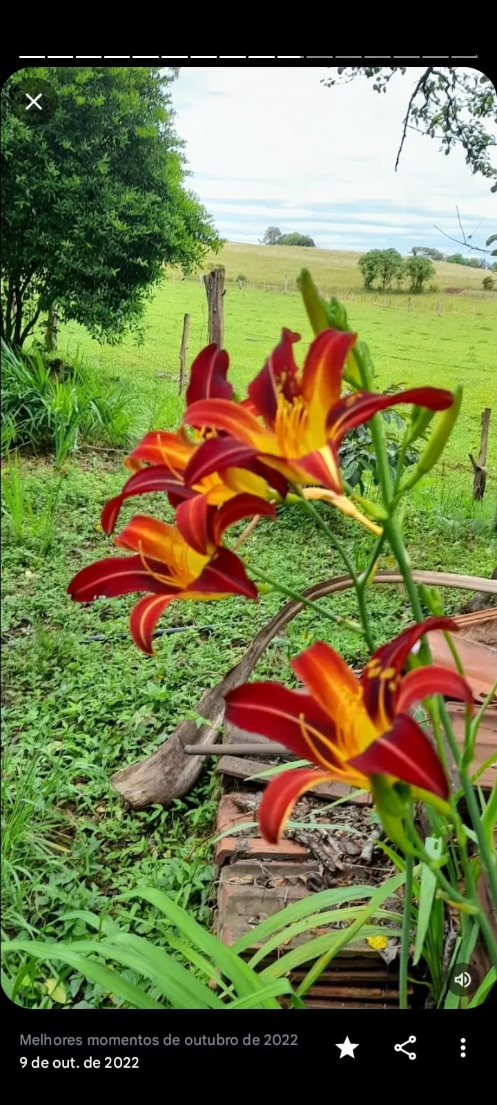 Small farm for sale of 27 acres in Santo Ângelo, RS, Brazil