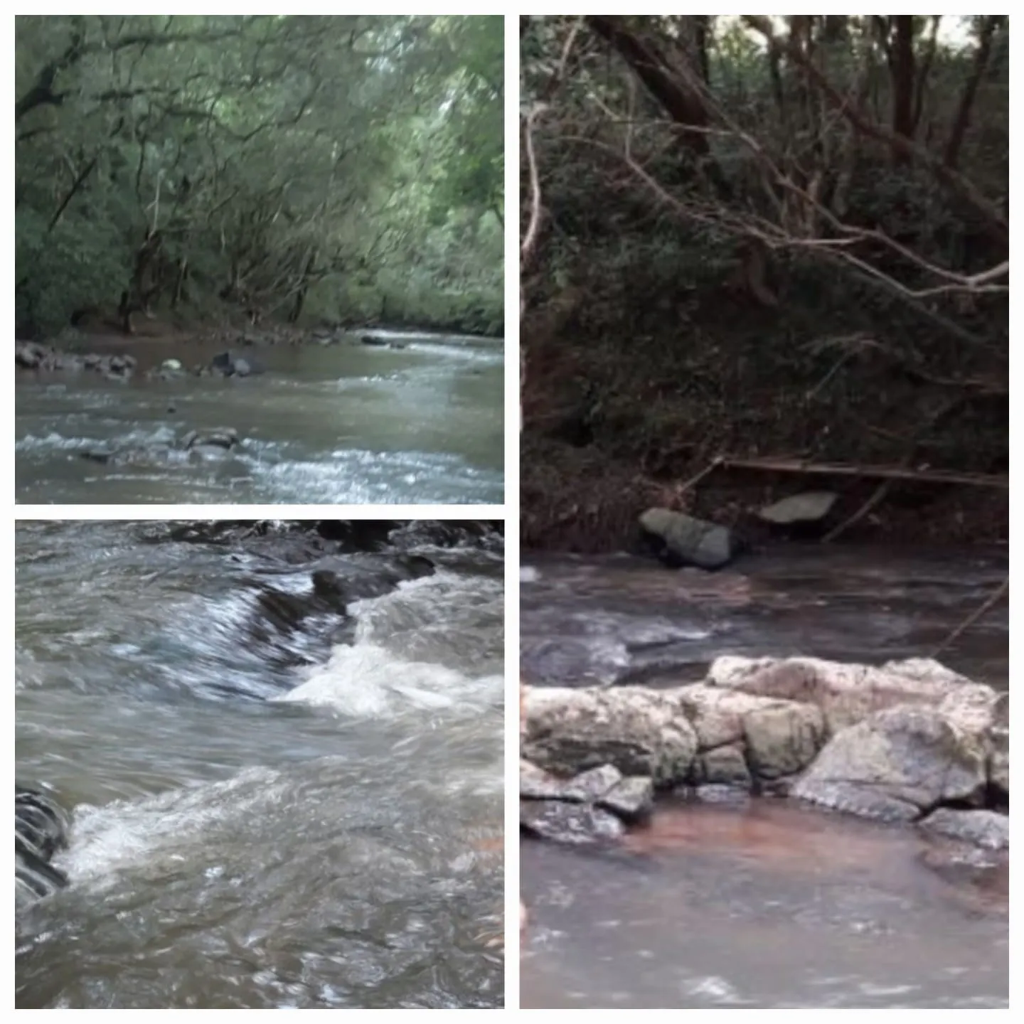 Small farm for sale of 27 acres in Santo Ângelo, RS, Brazil