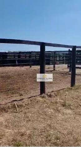 Fazenda à venda de 397 ha em Pedro Afonso, TO, Brasil