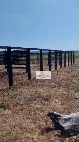 Fazenda à venda de 397 ha em Pedro Afonso, TO, Brasil