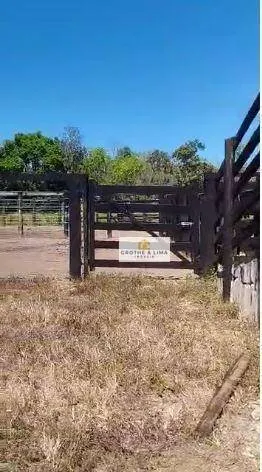Fazenda à venda de 397 ha em Pedro Afonso, TO, Brasil